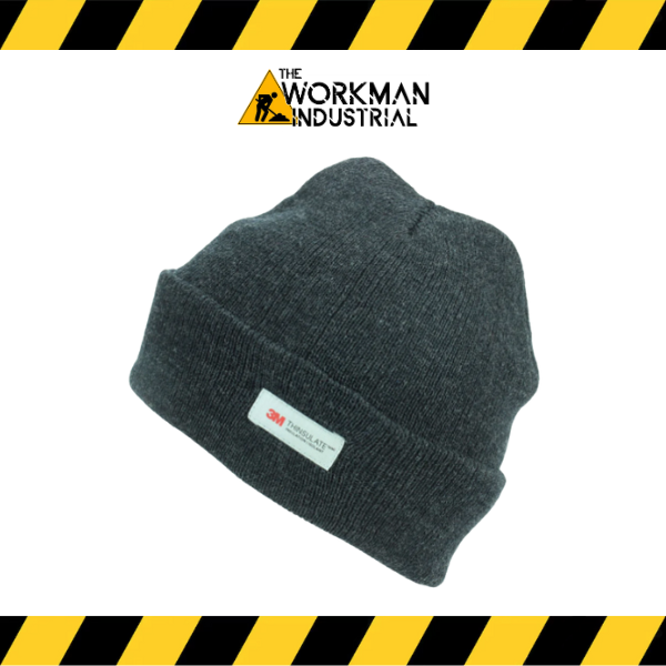 The charcoal grey World Famous Thinsulate lined watch cap.
